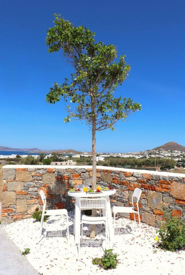 The Nine Graces - Agia Anna - Option With Private Pool Or Hot Tub Agia Anna (Naxos) Exterior foto