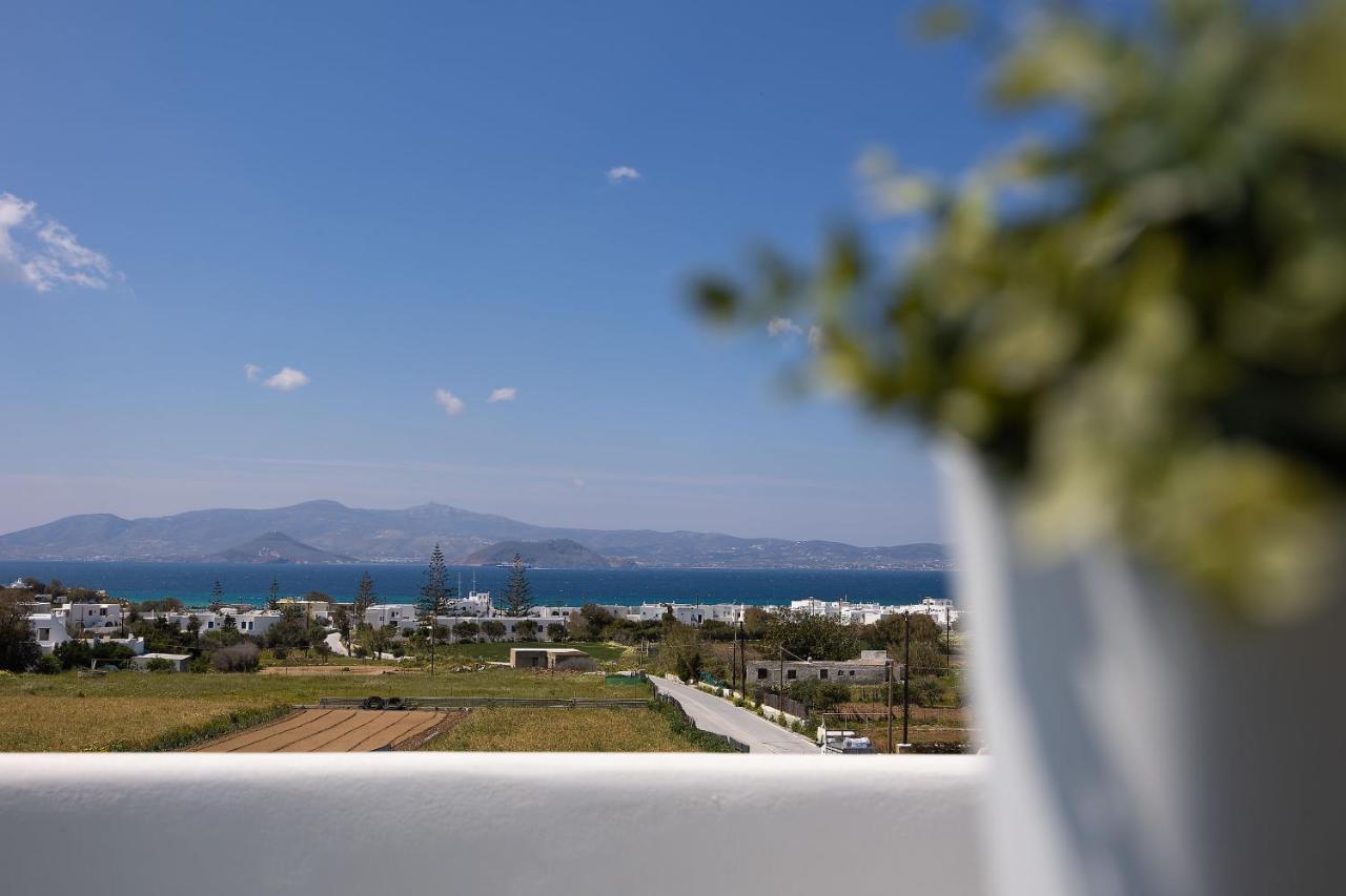 The Nine Graces - Agia Anna - Option With Private Pool Or Hot Tub Agia Anna (Naxos) Exterior foto